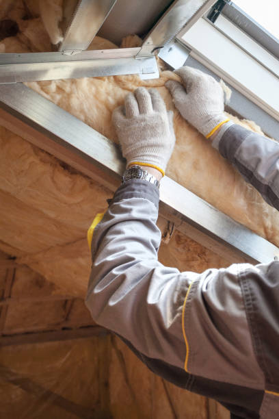 Best Insulation Maintenance and Repair in Barbourmeade, KY